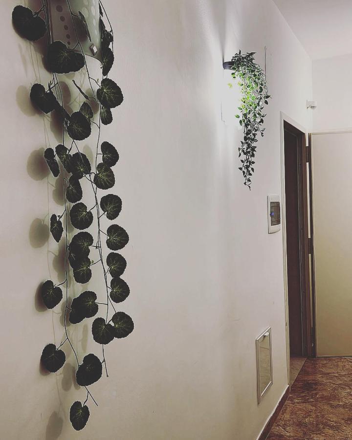 Esperanto B&B Bari Zewnętrze zdjęcie